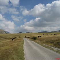 durmitor-karadag-17